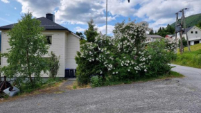 Feriehus Voldstad